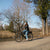 Swoop Bicicleta electrica Classic, Femme 28" Noir