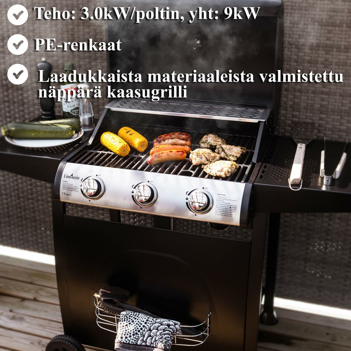 
              Limousin Kaasugrilli Classic 3